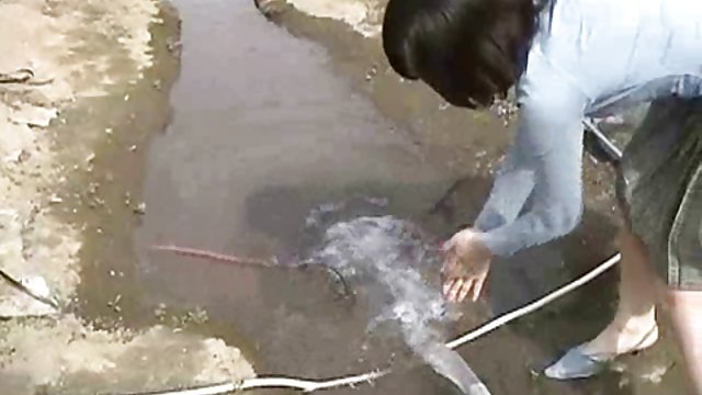 Blowjob فالوس غریبه را از طریق سوراخ در دیوار می مکید