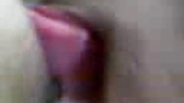 گناهان ولع گربه و ناله زیاد